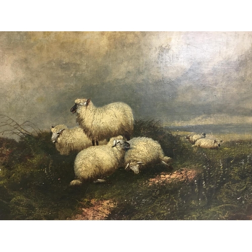 1458 - A large gilt framed oil on canvas painting study of a flock of sheep in the countryside. Frame dimen... 