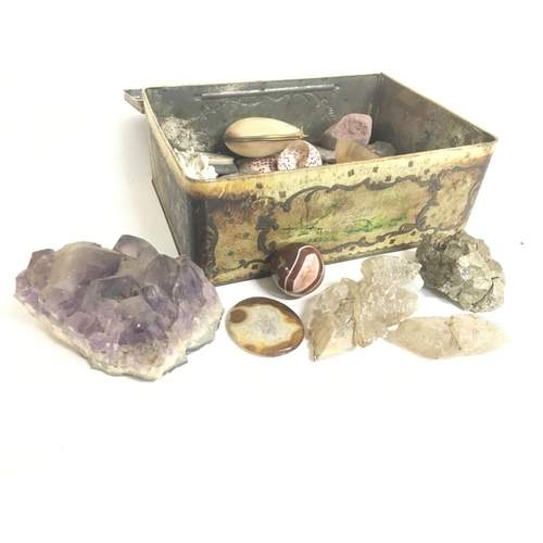 1837 - A collection of sea shells and stones including an Amethyst crystal. This lot cannot be posted