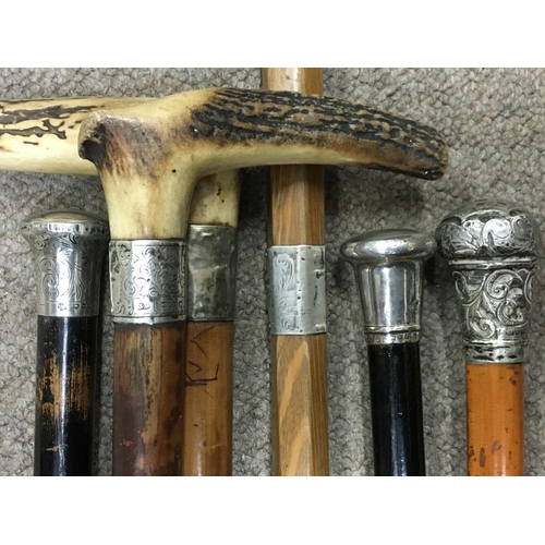 1880 - Victorian walking sticks with silver rims/tops. 80 to 88cm long. This lot cannot be posted