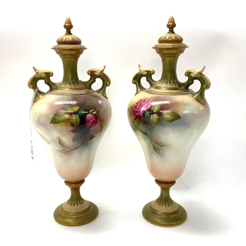 914 - A Pair of Royal Worcester hand painted urns and covers with hand painted Rose decoration signed R.Au... 