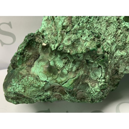 717 - A large natural Zambian Malachite specimen in the form of a Dragons head, 28cm x 21cm, 4.74kg.