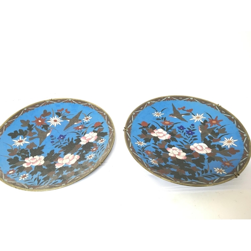 814 - A pair of Cloisonné dishes decorated with birds and flowers and foliage 30cm . (2) NO RESERVE