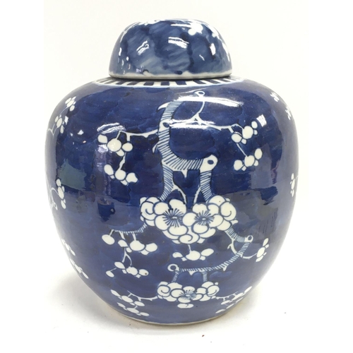 817 - A late 19th Century Chinese blue and white ginger jar. 24cm tall. No obvious large damage or restora... 