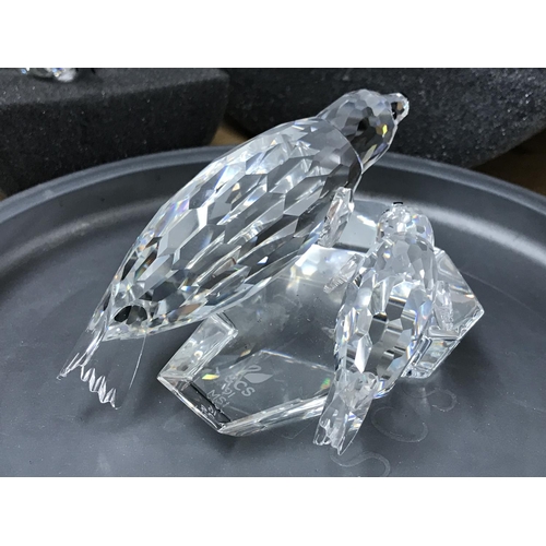 1054 - Three Swarovski seal figures including mum and pup on ice sheet, boxed. NO RESERVE