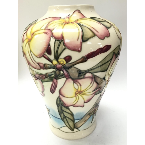 1076 - A boxed Moorcroft Frangipani vase, 22cm tall. No obvious large damage or restoration. This lot canno... 