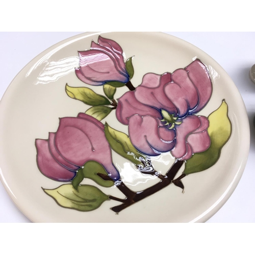 1017 - A Moorcroft Magnolia plate and two small vases. This lot cannot be posted.