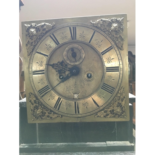 1366 - A oak case 30 hour long case clock the brass dial with Roman numerals. No Reserve.