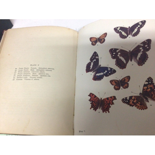 1738 - A leather bound book British Birds in there Haunts by the late Rev C Johns eighth edition with numer... 