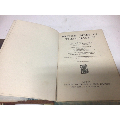 1738 - A leather bound book British Birds in there Haunts by the late Rev C Johns eighth edition with numer... 
