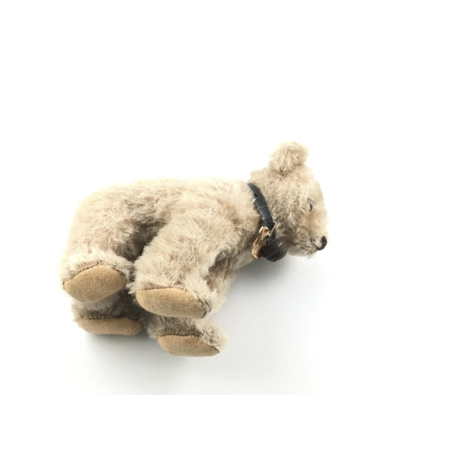 1812 - Steiff bear with mohair. Approx 13cm in size. Postage B