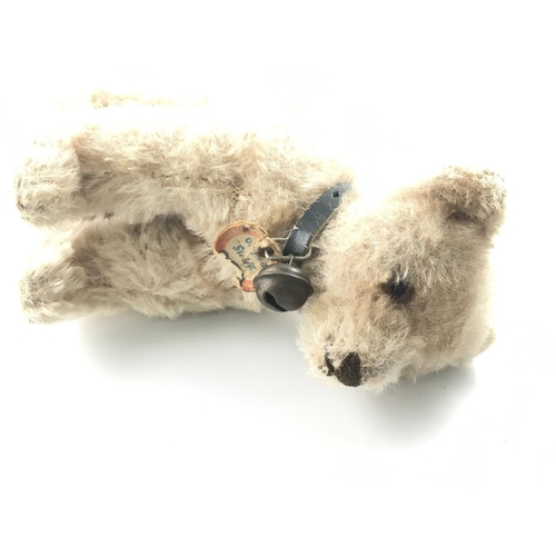 1812 - Steiff bear with mohair. Approx 13cm in size. Postage B