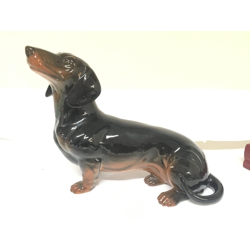1011 - A large size Beswick ceramic figure of a Dachshund dog. No obvious damage or restoration length 38cm... 