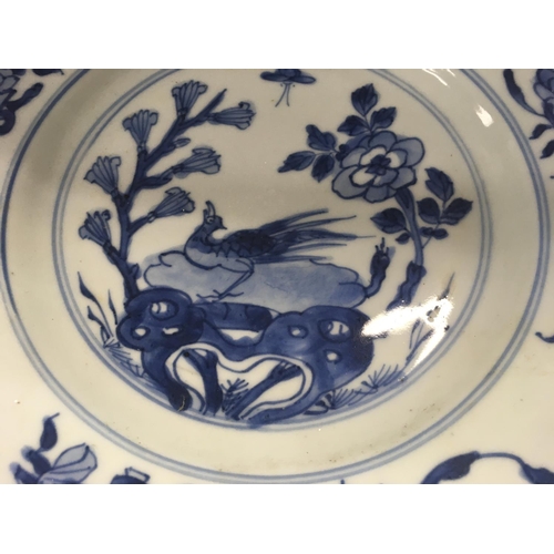 876 - Three Early 19 th Chinese blue and white plates decorated with birds flowers and foliage.