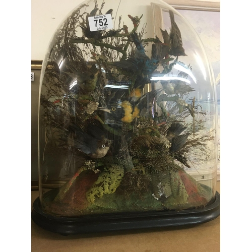 Lot 752       
