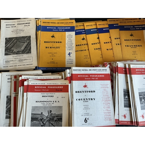 Lot 237       