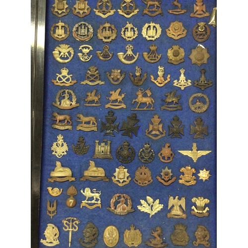 788 - A frame containing a good collection of I world war and other British Military Cap badges many with ... 