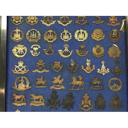 788 - A frame containing a good collection of I world war and other British Military Cap badges many with ... 