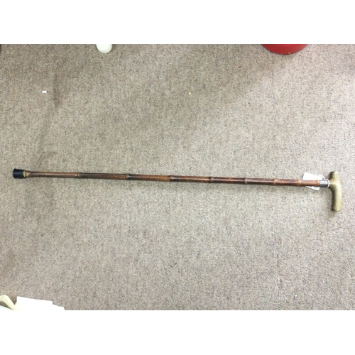 895 - Antique walking stick with hallmarked silver collar, length 34