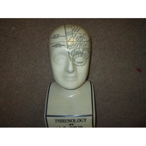 34 - Pottery phrenology head