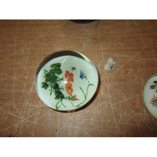 436 - 20th century glass paperweight with bird and bough decoration