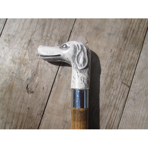 120 - Dogs head walking stick