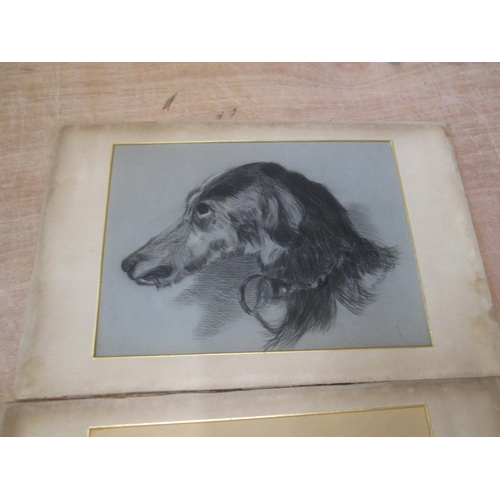 148 - Pair of Victorian charcoal sketches of dogs 22 cms x 28 cms, dated 1898 signature indistinct