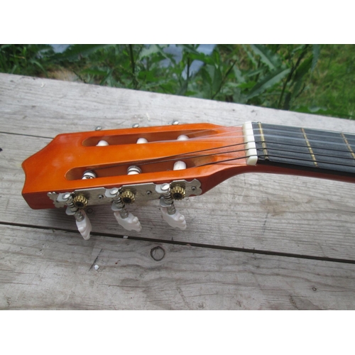 398 - Herald acoustic guitar