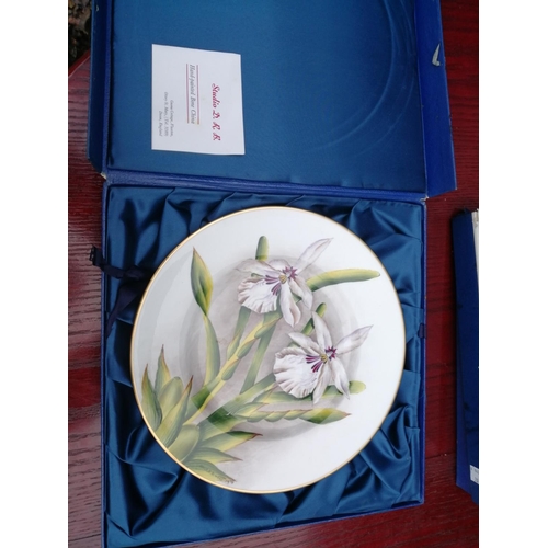 79 - Limited Edition Exotic Orchid collectors plate, decorated by David Bowkett, ex Royal Worcester paint... 