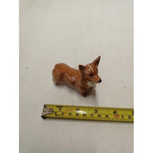 162 - Beswick figure of a dog : Gloss Glaze Corgi, in good order