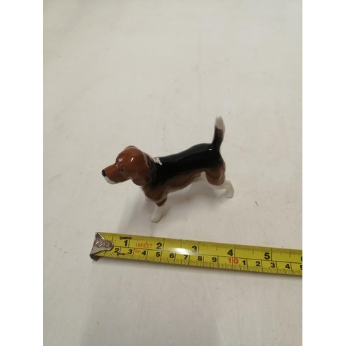 170 - Beswick figure of a dog :Beagle  gloss glaze, in good order