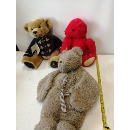 202 - 3 x teddy bears : 1 x Stanley Miles red bear, 1 x Harrods 2000 Christmas bear & 1 x hot water bottle... 