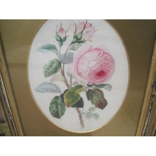 421 - 3 x Watercolours, still life scenes : Louise Aumonier RI S of Womens Artists