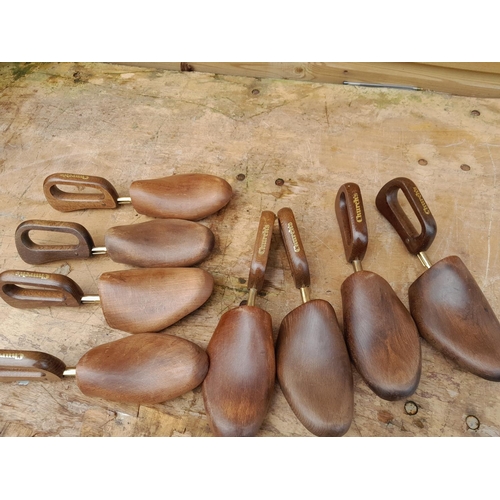 219 - Pair of Gents black Churches leather shoes (size rubbed off approx size 8) and shoe trees (medium si... 