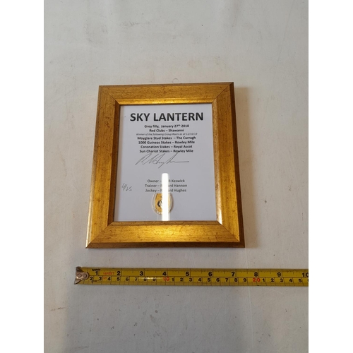 227 - Framed signature : Sky Lantern racing interest