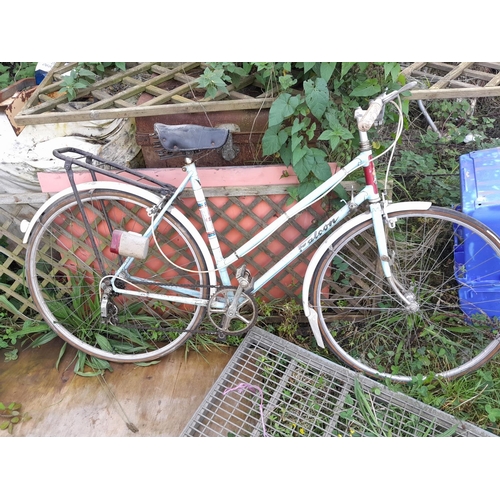 19 - Vintage Ladies Falcon bicycle
