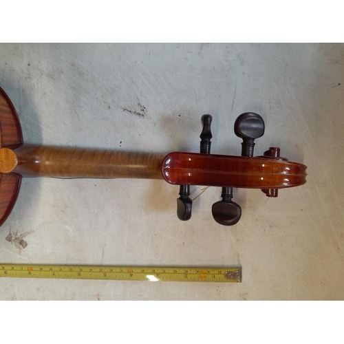 56 - Early 20th century no labelled violin, with half back,  in W E Hill wooden case with Hill back stamp... 