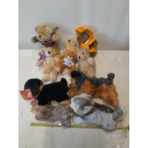 178 - 10 x teddy bears including 1 X Keel toy