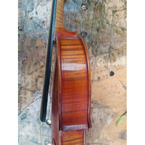 56 - Early 20th century no labelled violin, with half back,  in W E Hill wooden case with Hill back stamp... 