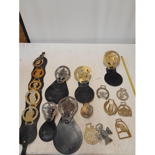 92 - Various vintage horse brasses some mounted on leather straps