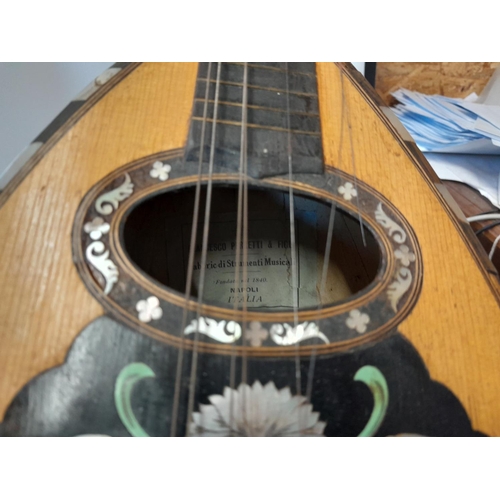 110 - Early 20th century bowl back mandolin  in case Francesco Perretti & Figli, in need of restoration