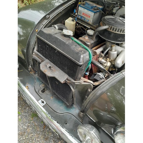 318 - MG ZA Magnette 1500 petrol, 9 previous owners, non transferable plate USJ 389, , 1956 runner but nee... 