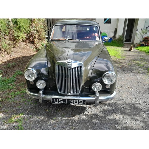 318 - MG ZA Magnette 1500 petrol, 9 previous owners, non transferable plate USJ 389, , 1956 runner but nee... 