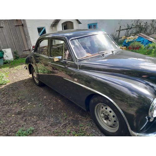 318 - MG ZA Magnette 1500 petrol, 9 previous owners, non transferable plate USJ 389, , 1956 runner but nee... 