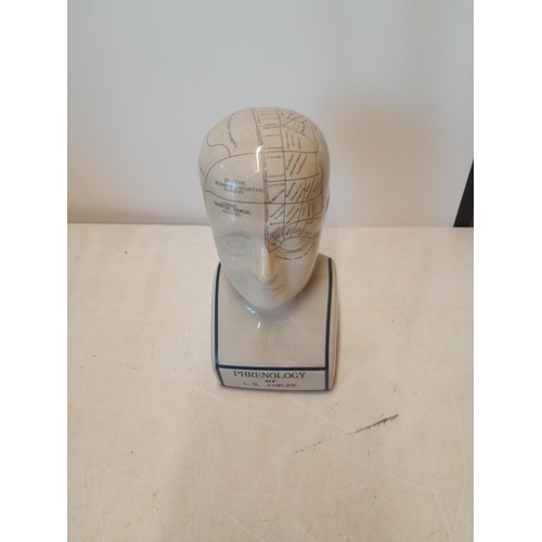 363 - Phrenology pottery head