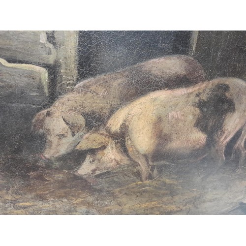 139 - Oval 19th century oil on canvas English School study of Pigs in Farmyard G Morehead ? 65 cms x 66 cm... 