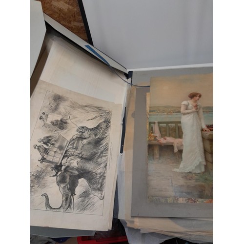 231 - Folio crammed full of Victorian and Edwardian prints : multithematic, birds, dogs, landscape Farquha... 