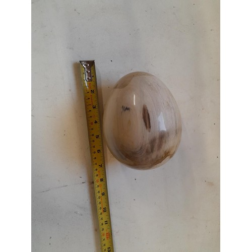 17 - Large ostrich size hardstone egg