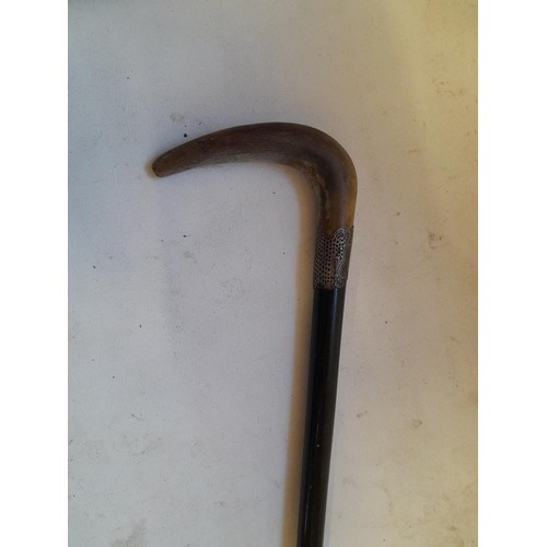 79 - Silver collared horn handle walking stick