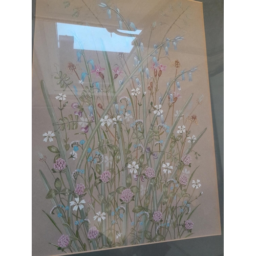 40 - 3 x modern watercolours & oil on board : 2 x still lifes  by J Netleg