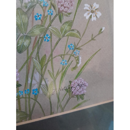 40 - 3 x modern watercolours & oil on board : 2 x still lifes  by J Netleg